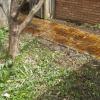 English Yorkstone, Deep Charcoal Release, Ambe/Mohagony Acid Stain